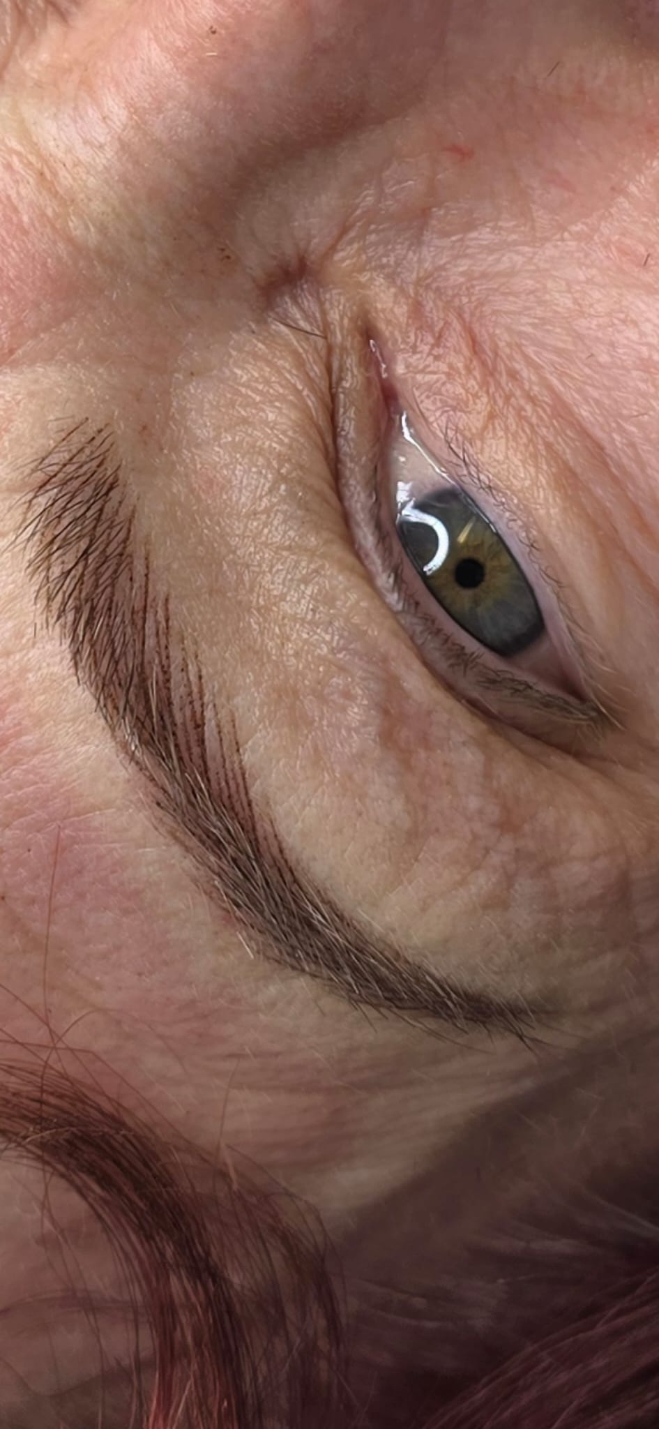 Nano Brows example 10