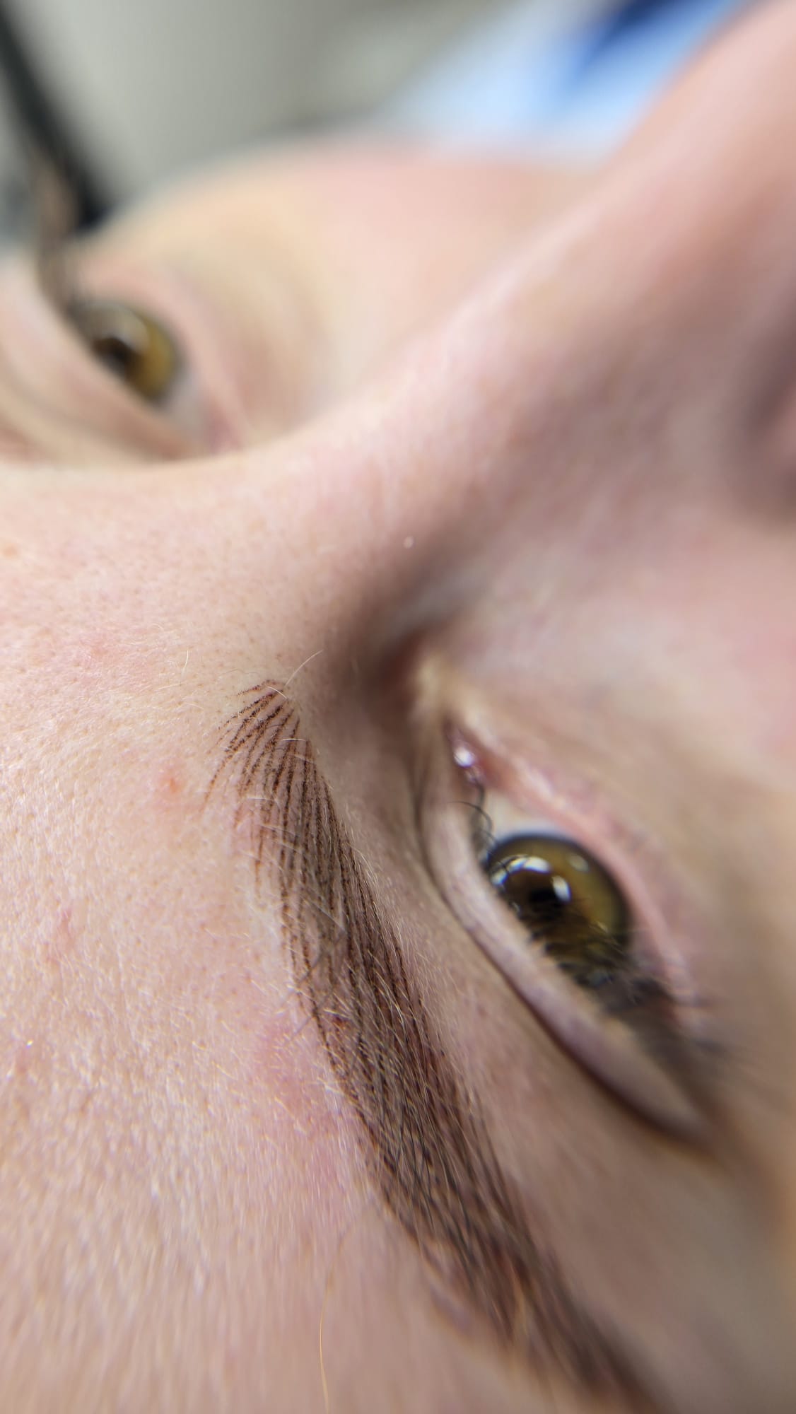 Nano Brows example 13